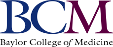 small logo BCM