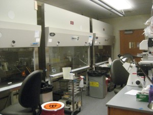 Cell Culturing Facility