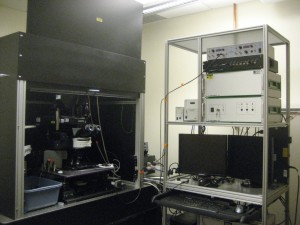 Prairie Technologies Confocal and Multi-Photon Microscope