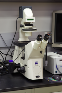 Zeiss AxioVert 200 + Perkin-Elmer UltraView ERS 3E Laser Confocal Microscope