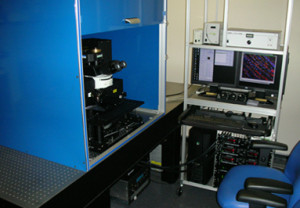 Prairie Technologies Ultima 2-Photon Microscope