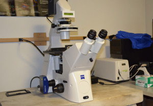 Zeiss AxioVert 200 Inverted Microscope