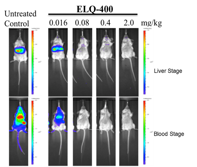 IVIS® Spectrum In Vivo Imaging System