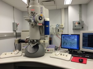 Tecnai electron microscope