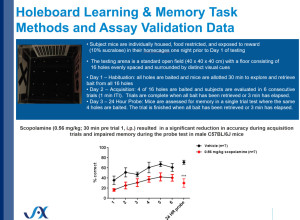 Holeboard Learning and Memory Task