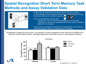 Spatial Recognition Short Term Memory Task