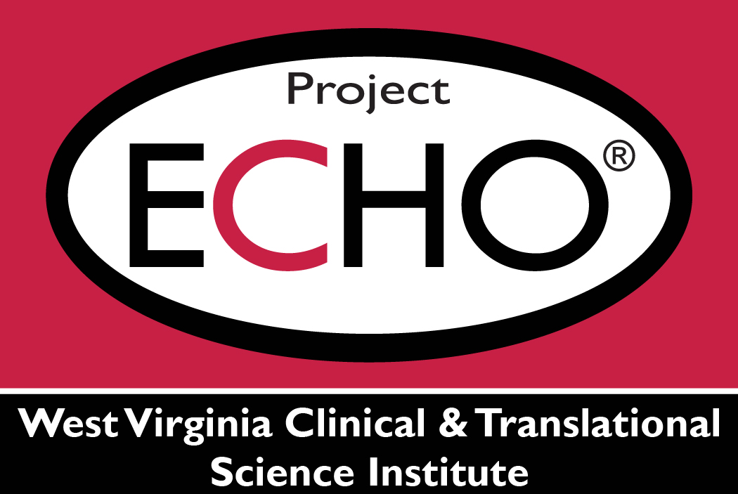 WVCTSI ECHO Logo