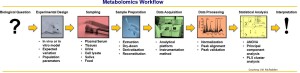 metabolomics workflow