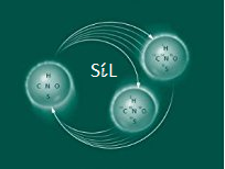 Picture of SIL logo