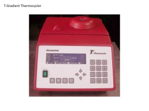 T-Gradient Thermocycler