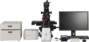 A1R Confocal Microscope