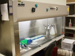 Biosafety Cabinet