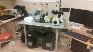 Andor Spinning Disk Confocal