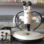 ARL Dissection Microscope 3.341