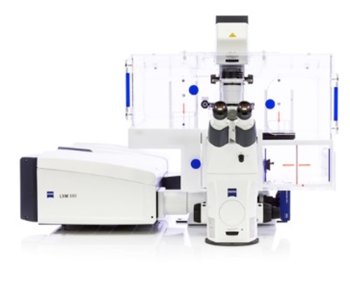 ZEISS LSM880 Airyscan-Living cell