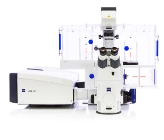 倒立型共軛焦顯微鏡 共軛焦 高解析系統 ZEISS LSM880 Airyscan